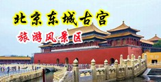 有美女操逼的毛片吗中国北京-东城古宫旅游风景区